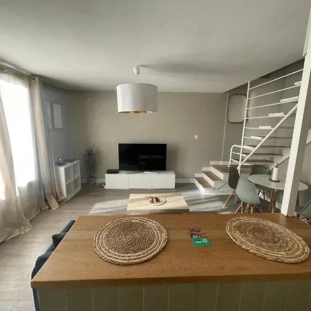 Magnifique Duplex Avec 2 Chambres Et Parking Gratuit Grenoble Exterior foto