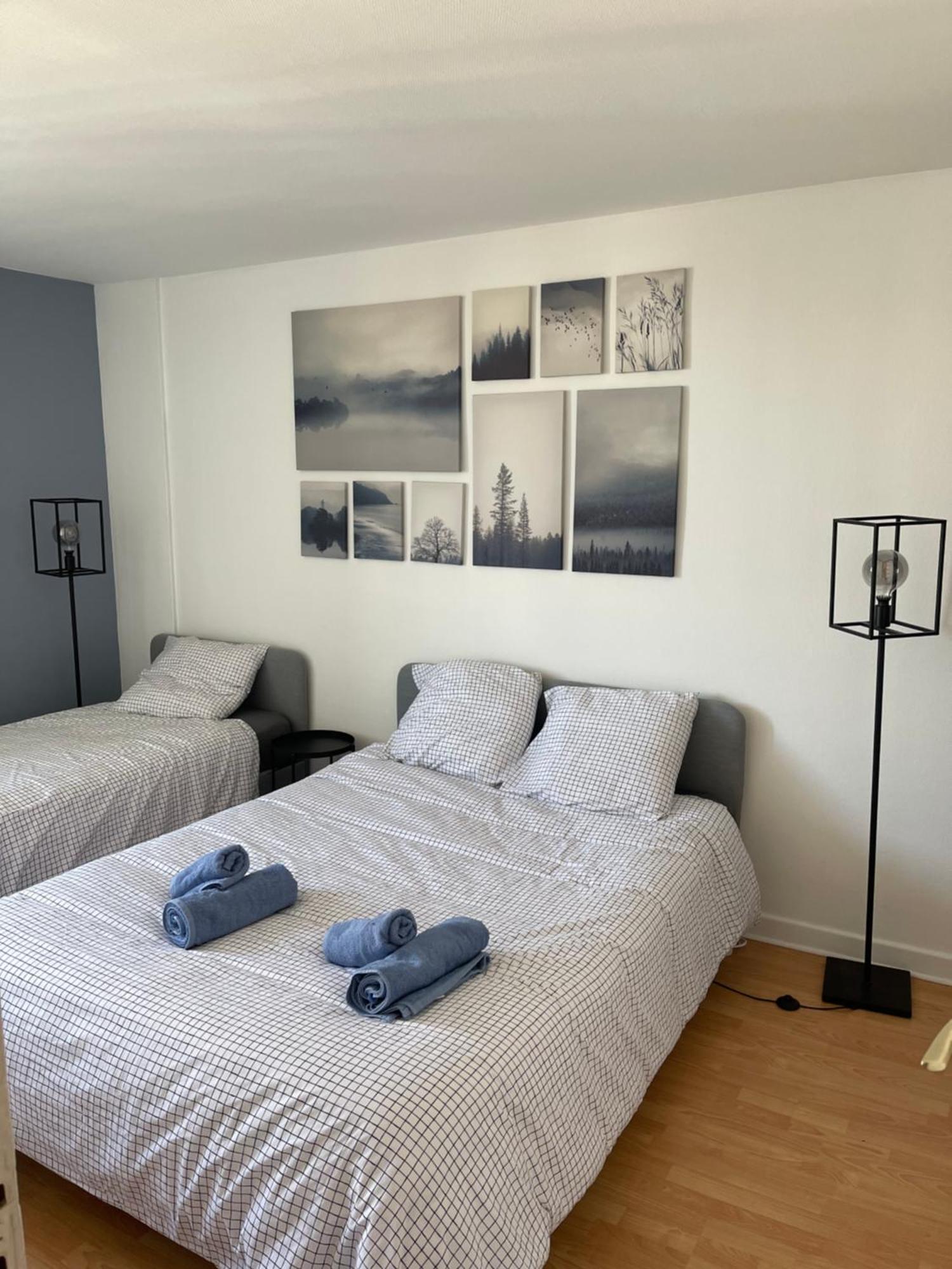 Apartment Magnifique Duplex Avec 2 Et Parking Gratuit Grenoble